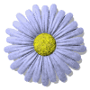 http://www.gifszone.com/content/gif/flowers/flowers_125.gif